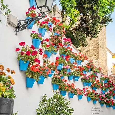 Cozy With Ac & Barbecue, Close To The Sea Appartamento